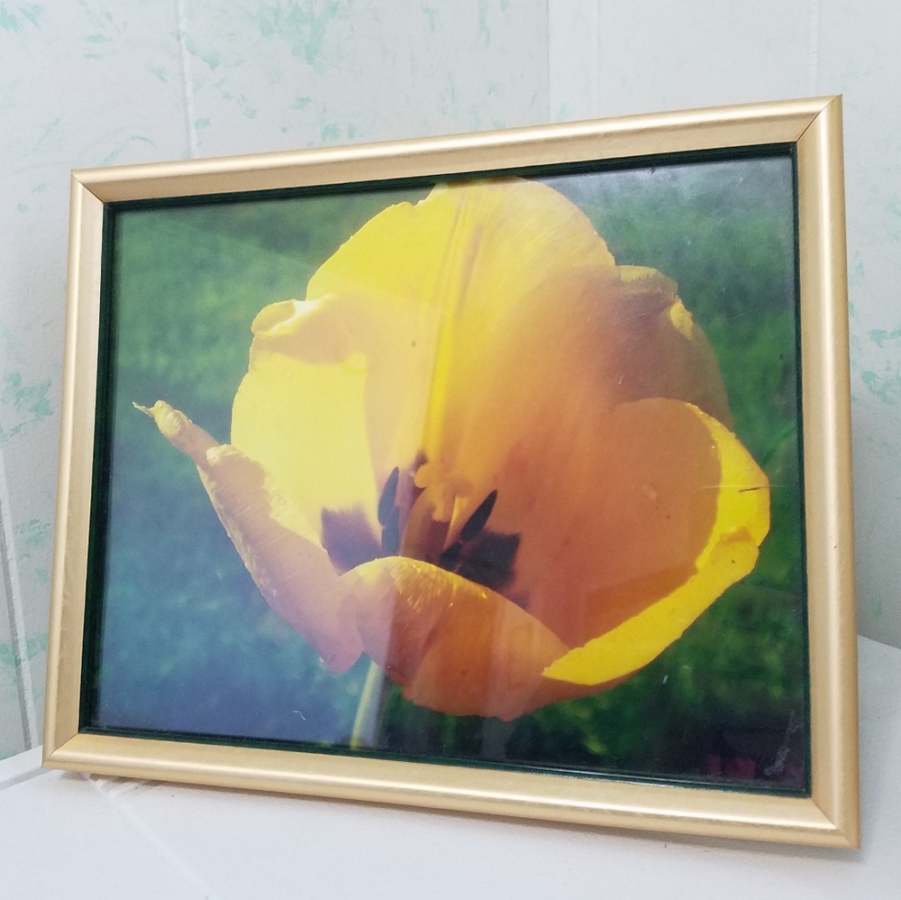 Framed Flower Art (Yellow)